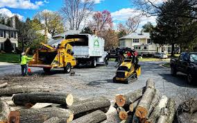 Lawn Grading and Leveling in Zeigler, IL